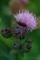 sized_DSC_2771