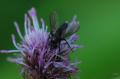 sized_DSC_2777