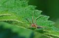 sized_DSC_2793