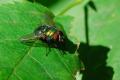 sized_DSC_2801