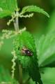 sized_DSC_2812