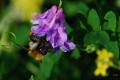 sized_DSC_2837
