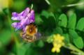 sized_DSC_2840