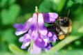 sized_DSC_2845
