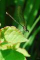 sized_DSC_2853