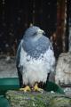 sized_DSC_3200