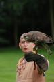 sized_DSC_3552