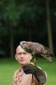 sized_DSC_3553