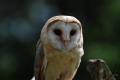 sized_DSC_3768