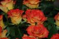 sized_DSC_5736