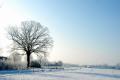 sized_DSC_5596-001