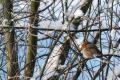 sized_DSC_5661-001