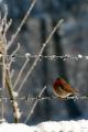 sized_DSC_5690-001