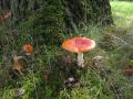 sized_IMG_5462