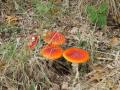 sized_IMG_5475