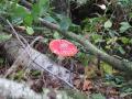 sized_IMG_5496