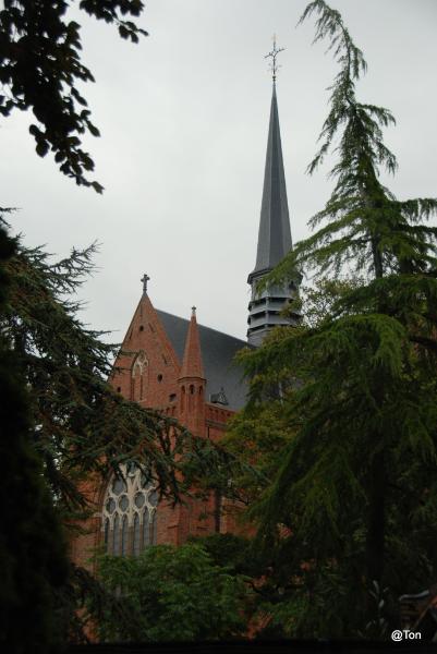 DSC_0406.JPG