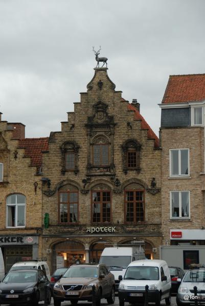 DSC_0450.JPG