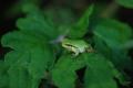 sized_DSC_6479