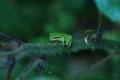 sized_DSC_6545