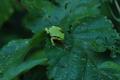 sized_DSC_6581