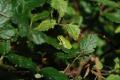 sized_DSC_6617