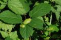 sized_DSC_6724
