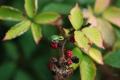 sized_DSC_6787