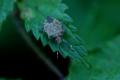 sized_DSC_6539