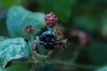 sized_DSC_6570