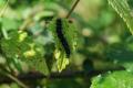 sized_DSC_6626