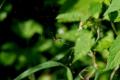 sized_DSC_6631