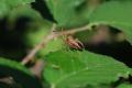 sized_DSC_6655