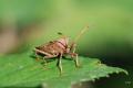 sized_DSC_6668