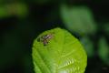sized_DSC_6705