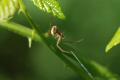 sized_DSC_6719