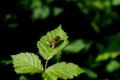 sized_DSC_6745