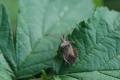 sized_DSC_6766