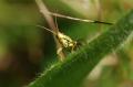 sized_DSC_6808