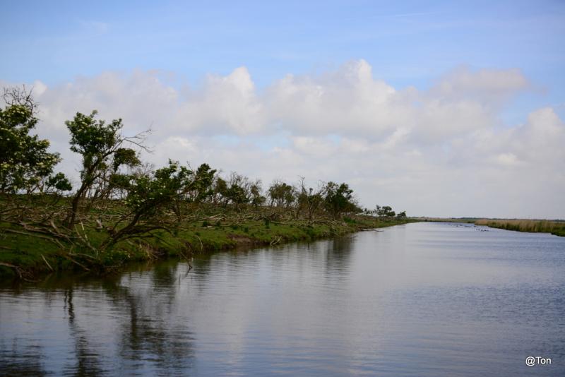 DSC_5980.JPG