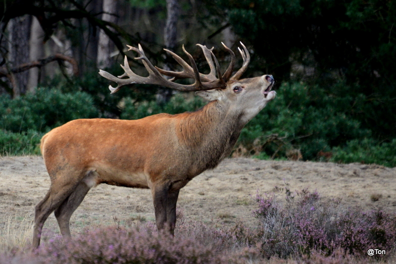 DSC_1754.JPG