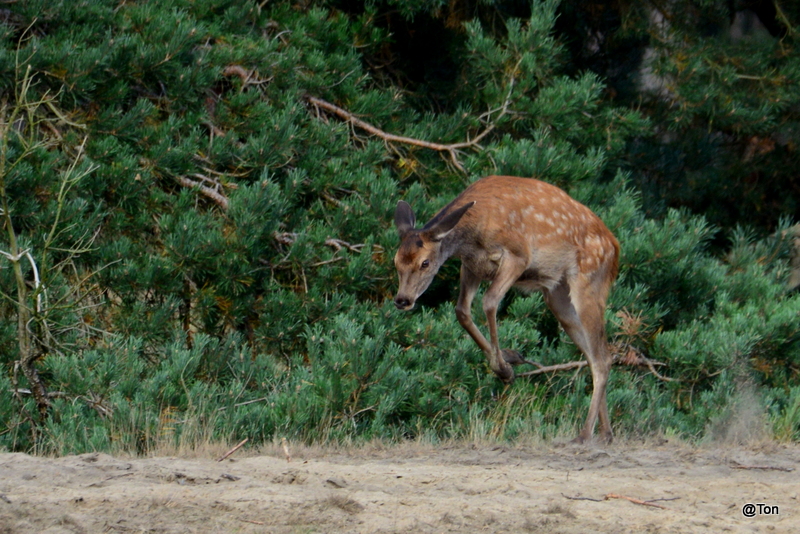DSC_1911.JPG
