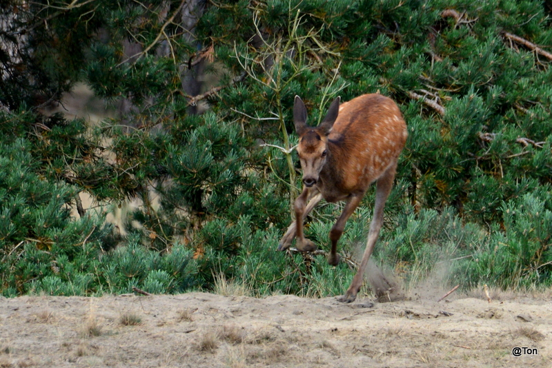 DSC_1912.JPG