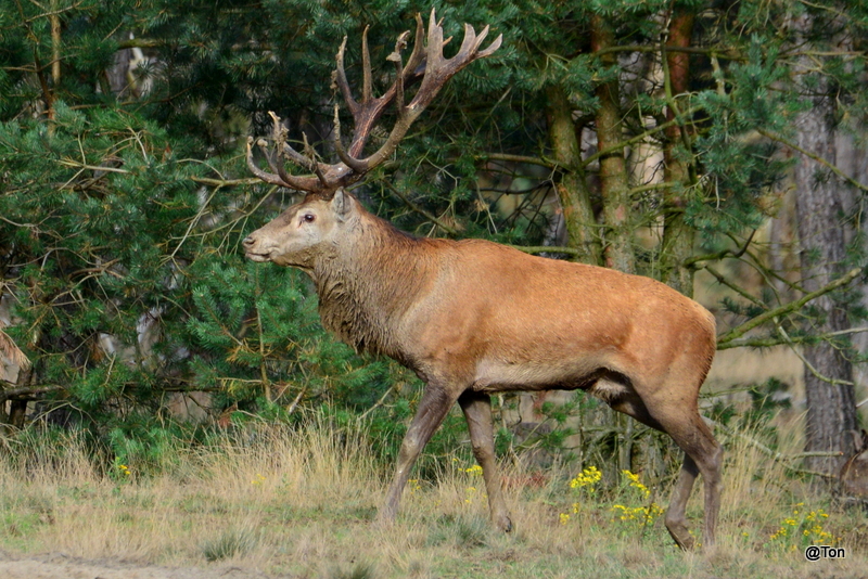 DSC_1918.JPG