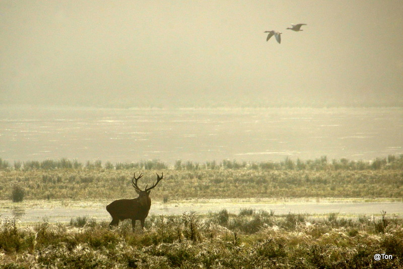 DSC_2407.JPG