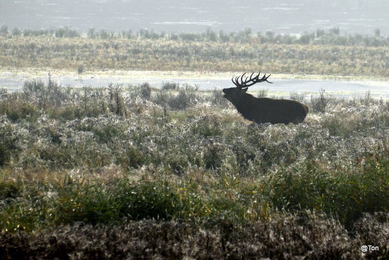 DSC_2435.JPG