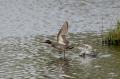 wintertaling_DSC_8330