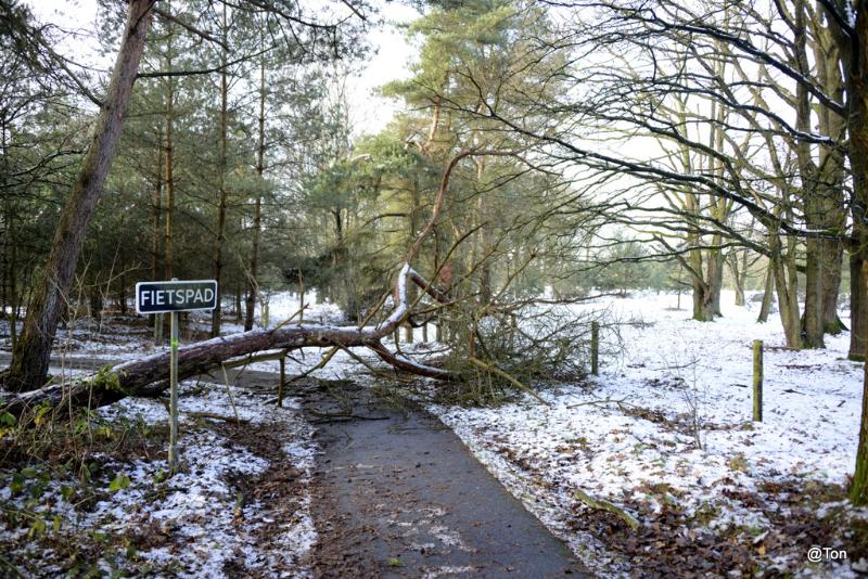 _DSC0381.jpg - Fietspad versperd