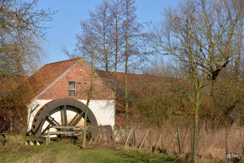 DSC_4983.JPG - De Luysmolen