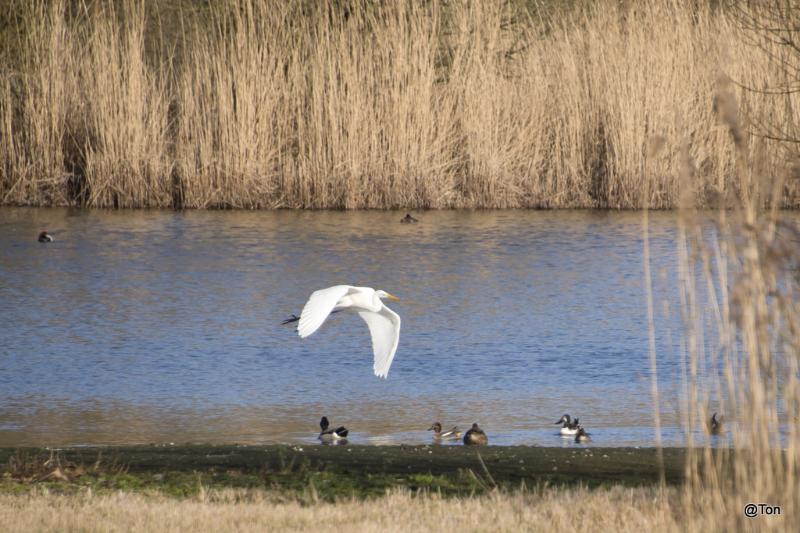 DSC_5027-bewerkt.JPG